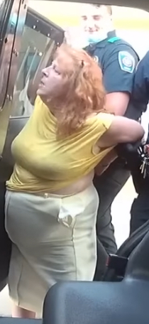 Terre Ann Bluse Blank Meme Template