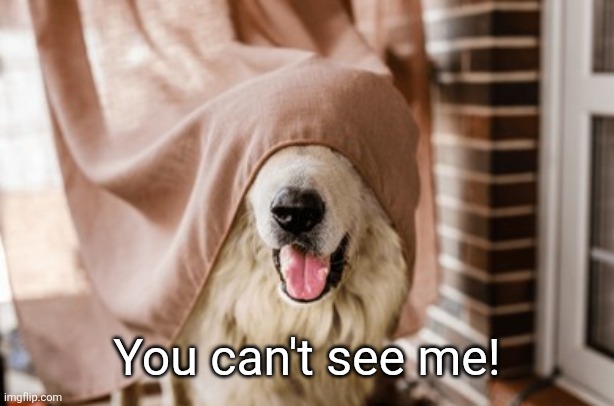 You can't see me! | made w/ Imgflip meme maker