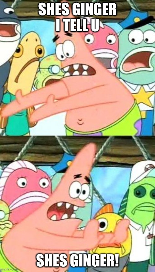 @nat (ik the @ don't work) | SHES GINGER I TELL U; SHES GINGER! | image tagged in memes,put it somewhere else patrick | made w/ Imgflip meme maker