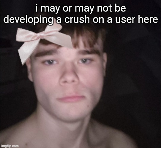 yall not getting to know who it is | i may or may not be developing a crush on a user here | image tagged in so cutesie | made w/ Imgflip meme maker