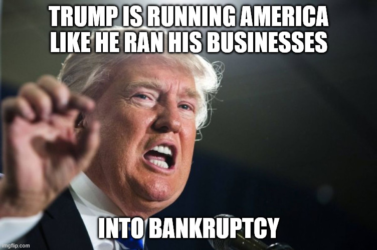 He literally bankrupted casinos | TRUMP IS RUNNING AMERICA LIKE HE RAN HIS BUSINESSES; INTO BANKRUPTCY | image tagged in donald trump | made w/ Imgflip meme maker