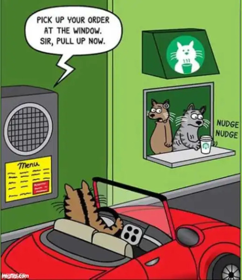 Fast Track | image tagged in repost,fast track | made w/ Imgflip meme maker