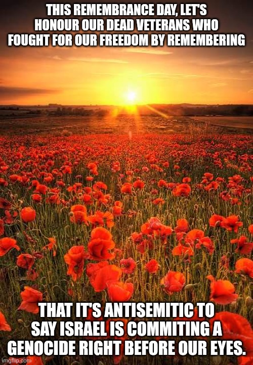 Our veterans are SPINNING IN THEIR GRAVES. | THIS REMEMBRANCE DAY, LET'S HONOUR OUR DEAD VETERANS WHO FOUGHT FOR OUR FREEDOM BY REMEMBERING; THAT IT'S ANTISEMITIC TO SAY ISRAEL IS COMMITING A GENOCIDE RIGHT BEFORE OUR EYES. | image tagged in poppy field lest we forget | made w/ Imgflip meme maker