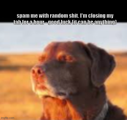 Fuck yes | spam me with random shit. I'm closing my tab for a hour - good luck (it can be anything) | image tagged in fuck yes | made w/ Imgflip meme maker