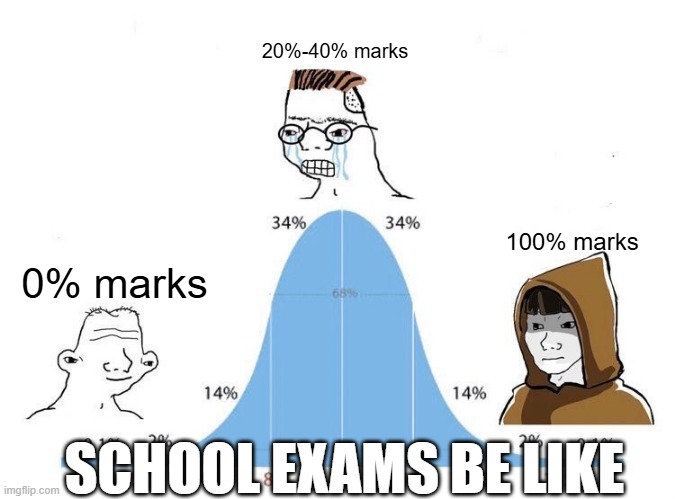 Exam Marks Be Like ? | 20%-40% marks; 100% marks; 0% marks; SCHOOL EXAMS BE LIKE | image tagged in bell curve | made w/ Imgflip meme maker