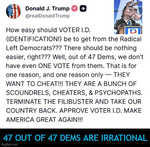 Cheaters Gonna Cheat | 47 OUT OF 47 DEMS ARE IRRATIONAL | image tagged in voter fraud,losers,america,voter id,crazy,all your base | made w/ Imgflip meme maker