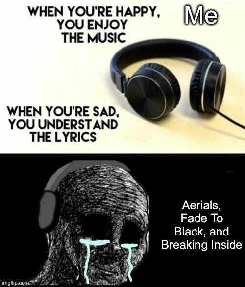When your sad you understand the lyrics | Me; Aerials, Fade To Black, and Breaking Inside | image tagged in when your sad you understand the lyrics | made w/ Imgflip meme maker