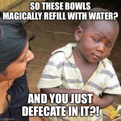 Third World Skeptical Kid Meme | SO THESE BOWLS MAGICALLY REFILL WITH WATER? AND YOU JUST DEFECATE IN IT?! | image tagged in memes,third world skeptical kid | made w/ Imgflip meme maker