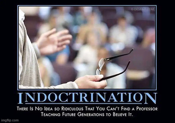 Indoctrination | image tagged in political,reposts,indoctrination | made w/ Imgflip meme maker