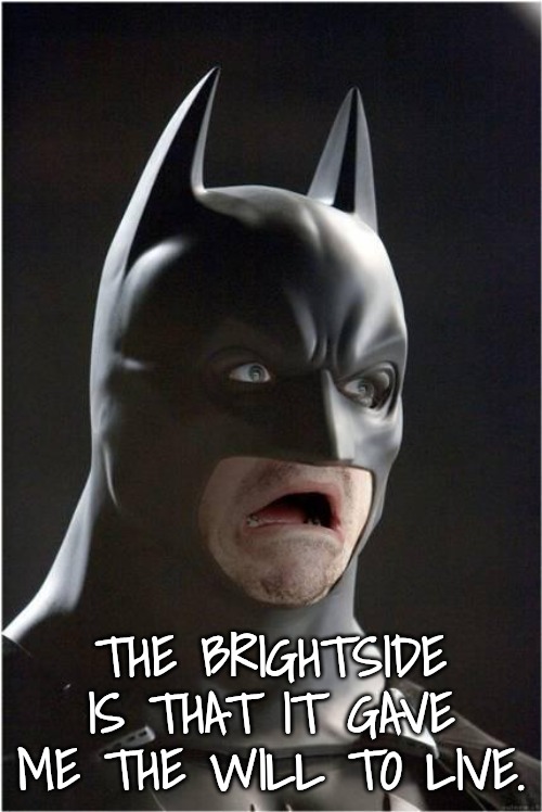 Batman Scared | THE BRIGHTSIDE IS THAT IT GAVE ME THE WILL TO LIVE. | image tagged in batman scared | made w/ Imgflip meme maker