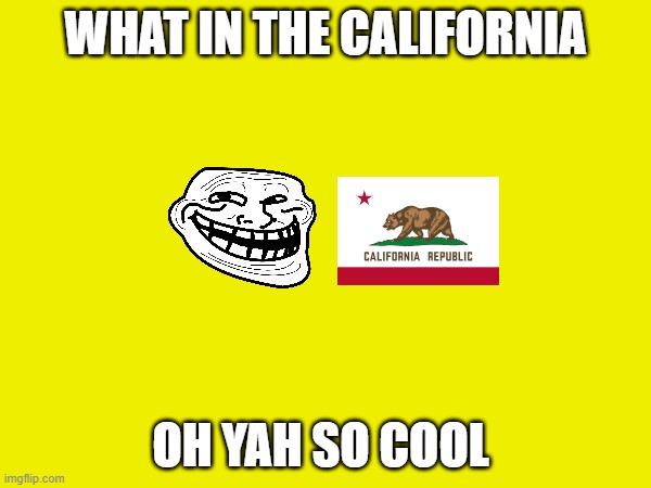 The best nothing | WHAT IN THE CALIFORNIA; OH YAH SO COOL | image tagged in nothing | made w/ Imgflip meme maker