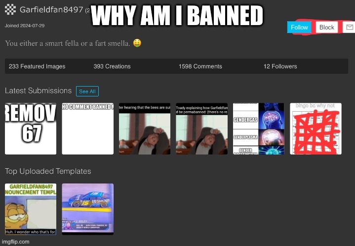Garfieldfan8497 is not Garfieldfan8495 | WHY AM I BANNED | image tagged in garfieldfan8497 is not garfieldfan8495 | made w/ Imgflip meme maker