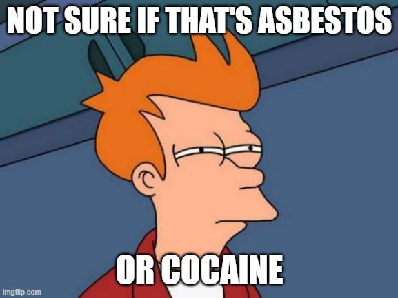 Asbestos Removal Memes | NOT SURE IF THAT'S ASBESTOS; OR COCAINE | image tagged in memes,futurama fry | made w/ Imgflip meme maker