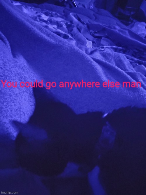 You could go anywhere else man | made w/ Imgflip meme maker