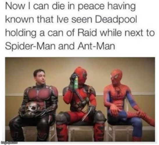 Meme | image tagged in memes,spider man,deadpool,ant man,raid | made w/ Imgflip meme maker