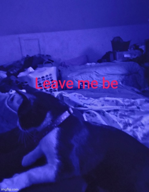 Leave me be | made w/ Imgflip meme maker