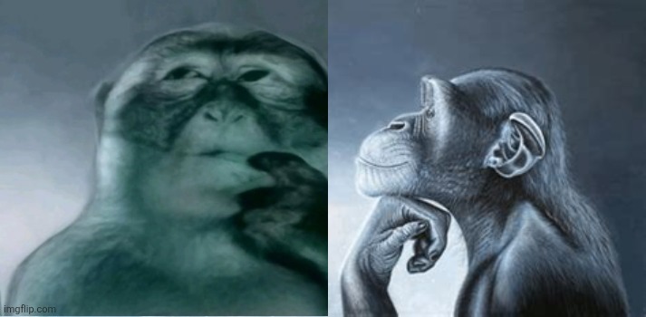 tiger yell at pondering monkey | image tagged in tiger yell at pondering monkey | made w/ Imgflip meme maker