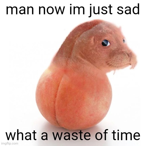 seal ball run | man now im just sad; what a waste of time | image tagged in seal ball run | made w/ Imgflip meme maker