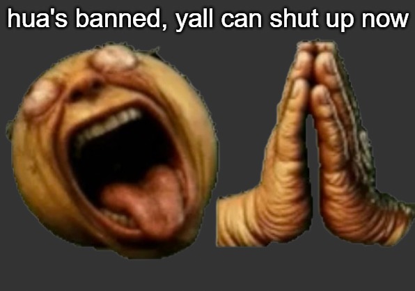 i'm dead bro | hua's banned, yall can shut up now | image tagged in i'm dead bro | made w/ Imgflip meme maker
