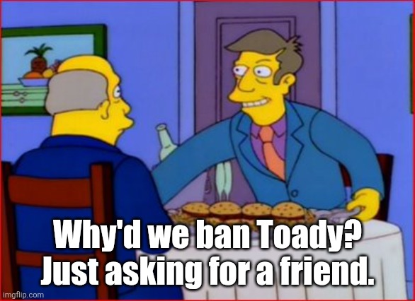 Steamed Hams | Why'd we ban Toady? Just asking for a friend. | image tagged in steamed hams | made w/ Imgflip meme maker