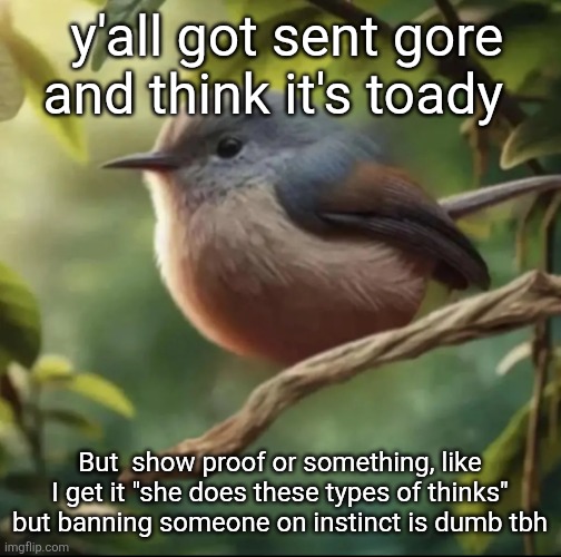 I know some people who are active now and potentially might have done it but I don't have anything to proof | y'all got sent gore and think it's toady; But  show proof or something, like I get it "she does these types of thinks" but banning someone on instinct is dumb tbh | image tagged in no balls | made w/ Imgflip meme maker