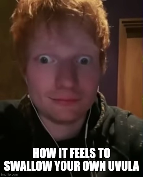 Ed Sheeran with Bulging Eyes | HOW IT FEELS TO SWALLOW YOUR OWN UVULA | image tagged in ed sheeran with bulging eyes | made w/ Imgflip meme maker
