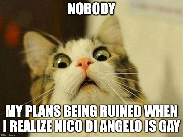 Scared Cat | NOBODY; MY PLANS BEING RUINED WHEN I REALIZE NICO DI ANGELO IS GAY | image tagged in memes,scared cat | made w/ Imgflip meme maker