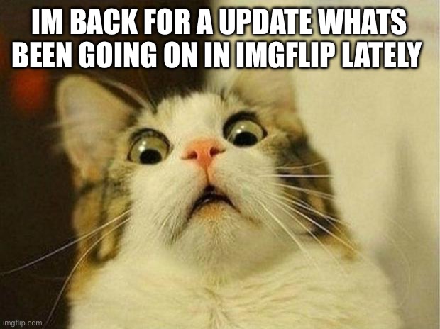 Scared Cat Meme | IM BACK FOR A UPDATE WHATS BEEN GOING ON IN IMGFLIP LATELY | image tagged in memes,scared cat | made w/ Imgflip meme maker