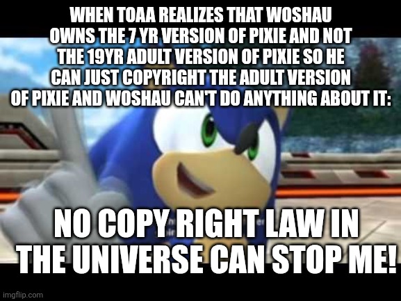 YOU DIDNT HAVE TO CUT ME OFF MAKE IT OUT LIKE A NEVER HAPPEN IN THAT WE WERE NOTHING NO I DIDN'T NEED YOUR LOVE BUT YOU TREAT ME | WHEN TOAA REALIZES THAT WOSHAU OWNS THE 7 YR VERSION OF PIXIE AND NOT THE 19YR ADULT VERSION OF PIXIE SO HE CAN JUST COPYRIGHT THE ADULT VERSION OF PIXIE AND WOSHAU CAN'T DO ANYTHING ABOUT IT:; NO COPY RIGHT LAW IN THE UNIVERSE CAN STOP ME! | image tagged in sonic copyright | made w/ Imgflip meme maker