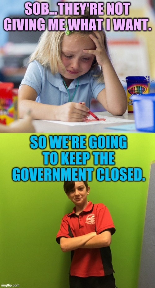 Democrats Are Acting Like Spoiled Children | image tagged in memes,democrats,acting,like,spoiled,children | made w/ Imgflip meme maker