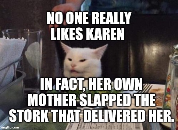 Smudge that darn cat | NO ONE REALLY LIKES KAREN; IN FACT, HER OWN MOTHER SLAPPED THE STORK THAT DELIVERED HER. | image tagged in smudge that darn cat | made w/ Imgflip meme maker
