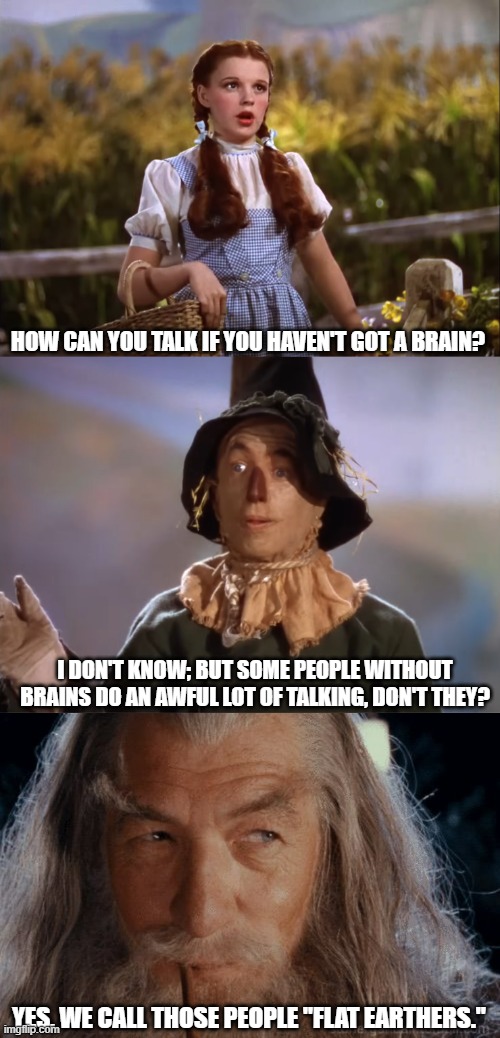 HOW CAN YOU TALK IF YOU HAVEN'T GOT A BRAIN? I DON'T KNOW; BUT SOME PEOPLE WITHOUT BRAINS DO AN AWFUL LOT OF TALKING, DON'T THEY? YES, WE CALL THOSE PEOPLE "FLAT EARTHERS." | image tagged in dorothy,wizard of oz scarecrow,gandalf | made w/ Imgflip meme maker