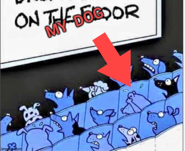 MY  DOG | made w/ Imgflip meme maker