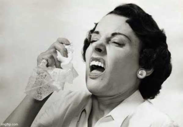 Sneezing  | image tagged in sneezing | made w/ Imgflip meme maker