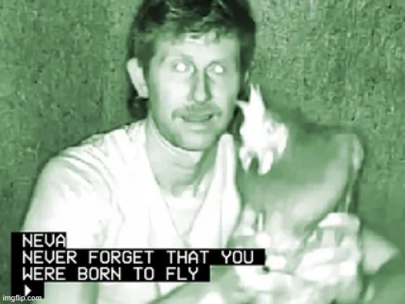 NEVER FORGET THAT YOU WERE BORN TO FLY | made w/ Imgflip meme maker