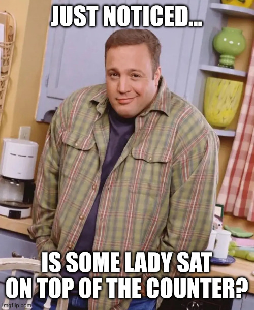 JUST NOTICED... IS SOME LADY SAT ON TOP OF THE COUNTER? | image tagged in kevin james shrug | made w/ Imgflip meme maker