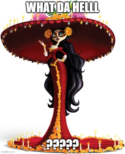 BOOK OF GAYS | WHAT DA HELLL; ????? | image tagged in la muerte | made w/ Imgflip meme maker