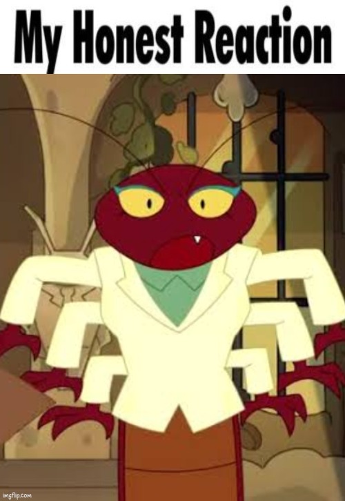 my honest reaction blank | image tagged in my honest reaction blank | made w/ Imgflip meme maker