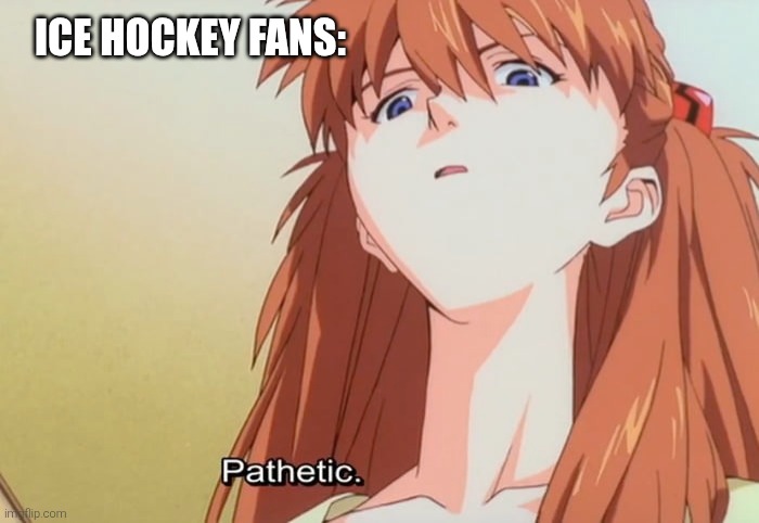 Pathetic | ICE HOCKEY FANS: | image tagged in pathetic | made w/ Imgflip meme maker