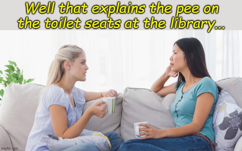 Two women talking | Well that explains the pee on the toilet seats at the library... | image tagged in two women talking | made w/ Imgflip meme maker