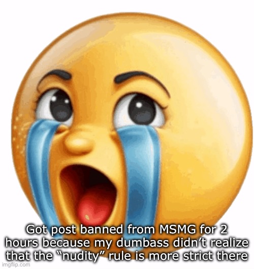 Ok now imma shit post here till my post ban is gone | Got post banned from MSMG for 2 hours because my dumbass didn’t realize that the “nudity” rule is more strict there | image tagged in realistic sob crying emoji | made w/ Imgflip meme maker