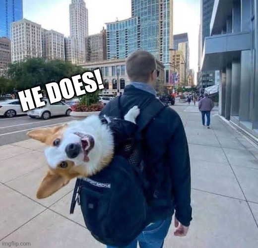 HE DOES! | made w/ Imgflip meme maker