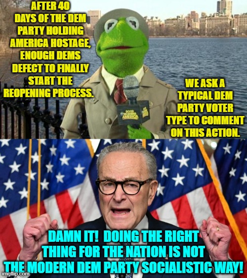 So . . . I guess this closes out the Dem Party political stunts season? | AFTER 40 DAYS OF THE DEM PARTY HOLDING AMERICA HOSTAGE, ENOUGH DEMS DEFECT TO FINALLY START THE REOPENING PROCESS. WE ASK A TYPICAL DEM PARTY VOTER TYPE TO COMMENT ON THIS ACTION. DAMN IT!  DOING THE RIGHT THING FOR THE NATION IS NOT THE MODERN DEM PARTY SOCIALISTIC WAY! | image tagged in kermit news report | made w/ Imgflip meme maker