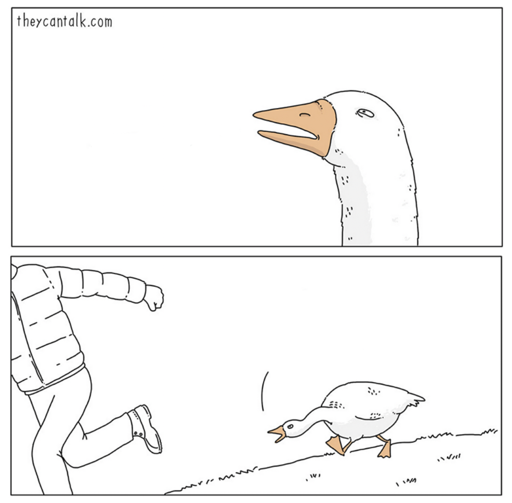 Goose Chasing TheyCanTalk theycantalkcomics official Blank Meme Template