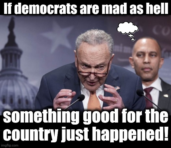Tim Caine just backstabbed Chucky Schumer the way he's been backstabbing Virginia for years | If democrats are mad as hell; something good for the
country just happened! | image tagged in schumer,memes,government shutdown,democrats,hatred,anger | made w/ Imgflip meme maker