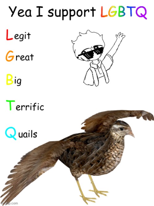 I totally support LGBTQ | image tagged in memes,lgbtq,drawings,art | made w/ Imgflip meme maker