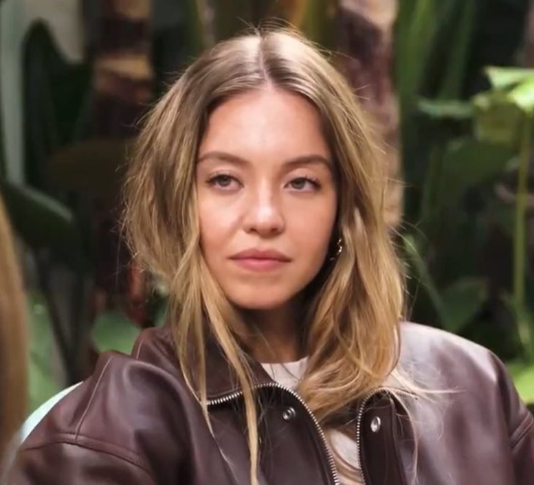 Sydney Sweeney Stare Blank Meme Template