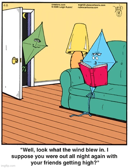 Rubes | image tagged in comics,rubes,kites,out all night,getting high | made w/ Imgflip meme maker