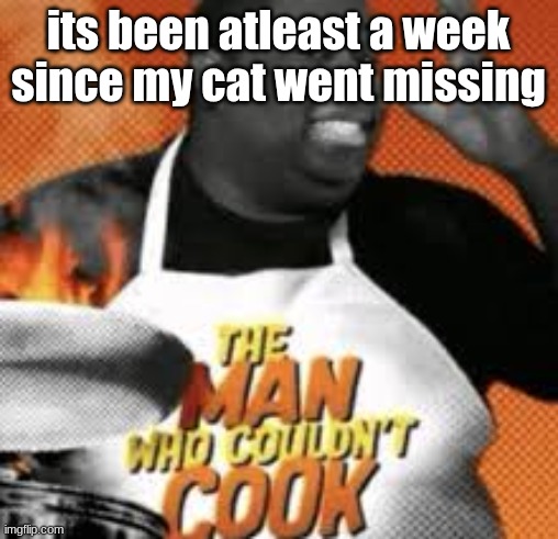 The man who couldn't cook | its been atleast a week since my cat went missing | image tagged in the man who couldn't cook | made w/ Imgflip meme maker