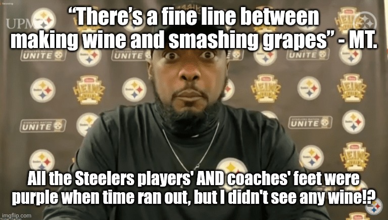 More worthless Mike Tomlin quotes... | “There’s a fine line between making wine and smashing grapes” - MT. All the Steelers players' AND coaches' feet were purple when time ran out, but I didn't see any wine!? | image tagged in mike tomlin | made w/ Imgflip meme maker